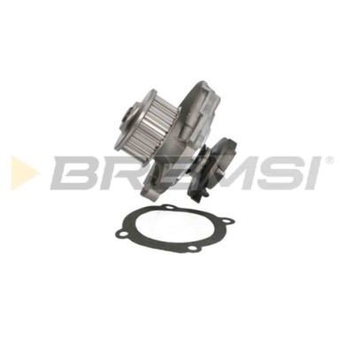 WP0176.JPG Pompa Acqua Fiat Punto (188) Wp0176 46520401 Bremsi
