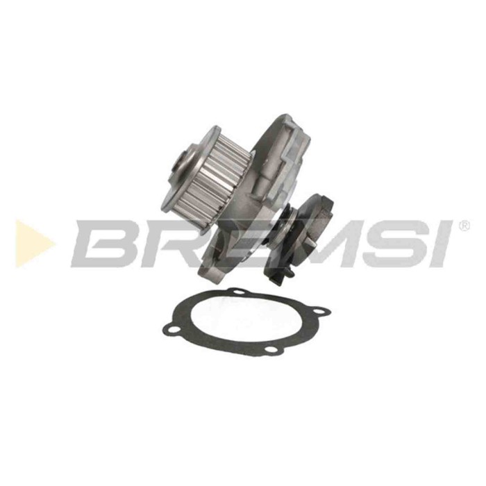 WP0176.JPG Pompa Acqua Fiat Punto (188) Wp0176 46520401 Bremsi