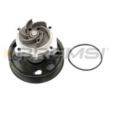 WP0183.JPG Pompa Acqua Fiat Panda (312 319) Wp0183 46815125 Bremsi