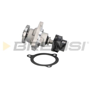 WP0189.JPG Pompa Acqua Ford Ka Street Ka Fiesta V Fiesta V Van Ka Van Wp0189 1089795 Bremsi