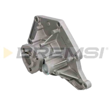 WP0212.JPG Pompa Acqua Audi A6 C6 (4f2) Wp0212 06e121005d Bremsi