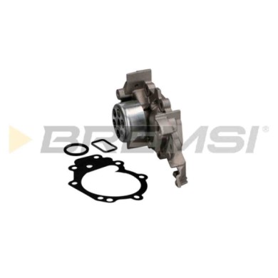WP0216.JPG Pompa Acqua Dacia Logan (ls) Wp0216 210101832r Bremsi