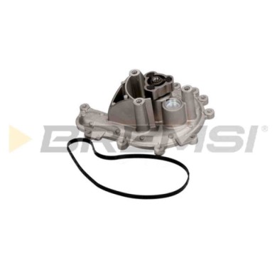 WP0222.JPG Pompa Acqua Citroen Jumper Ii Pianale Piatto/telaio Wp0222 1201h6 Bremsi