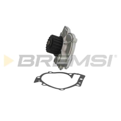 WP0224.JPG Pompa Acqua Volvo S40 I (644) Wp0224 271647 Bremsi