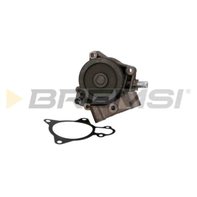 WP0225.JPG Pompa Acqua Citroen Jumper Ii Pianale Piatto/telaio Wp0225 1201j4 Bremsi