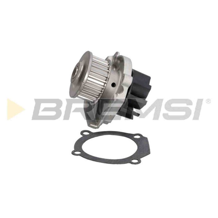 WP0227.JPG Pompa Acqua Fiat Panda (312 319) Wp0227 1535462 Bremsi