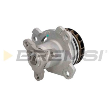 WP0229.JPG Pompa Acqua Nissan Nv400 Pianale Piatto/telaio (x62 X62b) Wp0229 21010-00q0c Bremsi