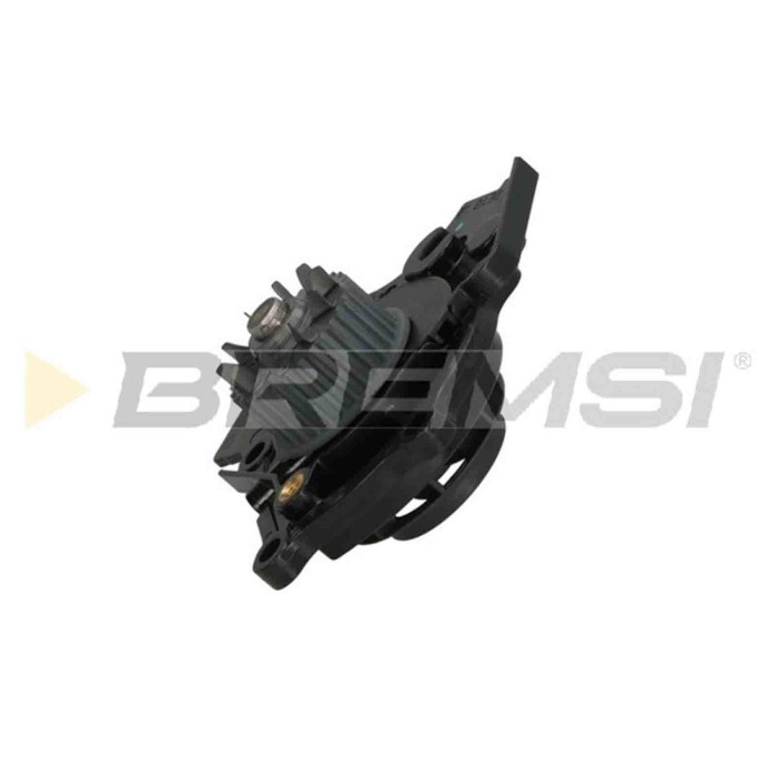 WP0241.JPG Pompa Acqua Audi Tt Roadster (8j9) Wp0241 06a121026bf Bremsi