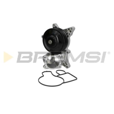 WP0251.JPG Pompa Acqua Bmw 7 5 5 Gran Turismo 5 Touring X6 X5 6 Cabriolet 6 Coupú Wp0251 11517823428 Bremsi