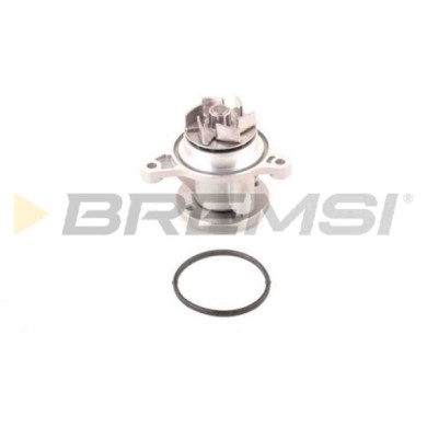 WP0253.JPG Pompa Acqua Kia Rio Iii (ub) Wp0253 2510003010 Bremsi