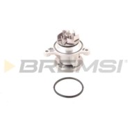 Pompa Acqua Kia Rio Iii (ub) Wp0253 2510003010 Bremsi