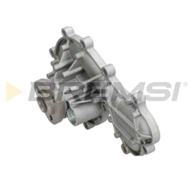 WP0256.JPG Pompa Acqua Audi A5 Cabriolet (8f7) Wp0256 059121005t Bremsi