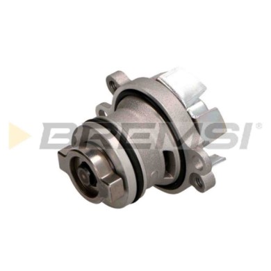 WP0258.JPG Pompa Acqua Fiat Panda (312 319) Wp0258 55225394 Bremsi