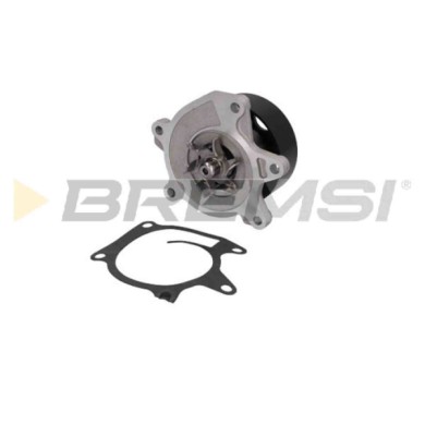 WP0262.JPG Pompa Acqua Nissan X-trail Pulsar 2 Volumi/coda Spiovente Juke Qashqai Ii Fuoristrada Chiuso Renault Clio Iv Wp0262 2