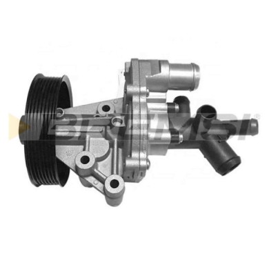 WP0272.JPG Pompa Acqua Ford Ranger (tke) Wp0272 1719125 Bremsi