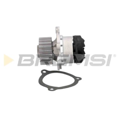 WP0285.JPG Pompa Acqua Lada Nova (2105) Wp0285 2108-1307010 Bremsi