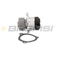 WP0285.JPG Pompa Acqua Lada Nova (2105) Wp0285 2108-1307010 Bremsi