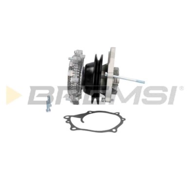 WP0317.JPG Pompa Acqua Nissan Bluebird Terrano I Pick-up Bluebird Traveller Wp0317 21010-80w25 Bremsi
