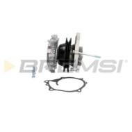 WP0317.JPG Pompa Acqua Nissan Bluebird Terrano I Pick-up Bluebird Traveller Wp0317 21010-80w25 Bremsi