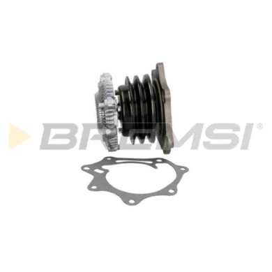 WP0318.JPG Pompa Acqua Nissan Pick-up Wp0318 21010-43g25 Bremsi