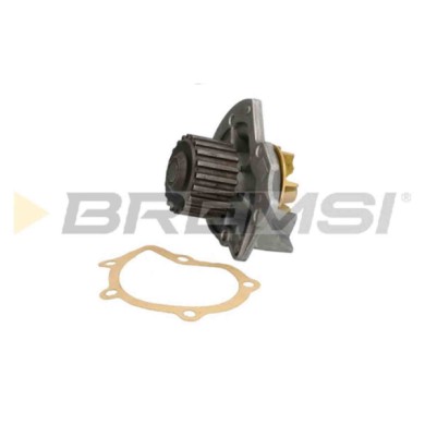 WP0328.JPG Pompa Acqua Tata Safari (42fd) Wp0328 2547-2010-0118 Bremsi