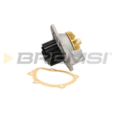 WP0337.JPG Pompa Acqua Tata Safari (42fd) Wp0337 2547-2010-0124 Bremsi