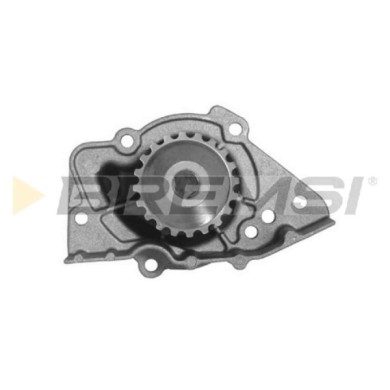 WP0342.JPG Pompa Acqua Citroen Zx (n2) Wp0342 1201a8 Bremsi