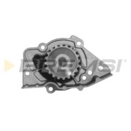 WP0342.JPG Pompa Acqua Citroen Zx (n2) Wp0342 1201a8 Bremsi