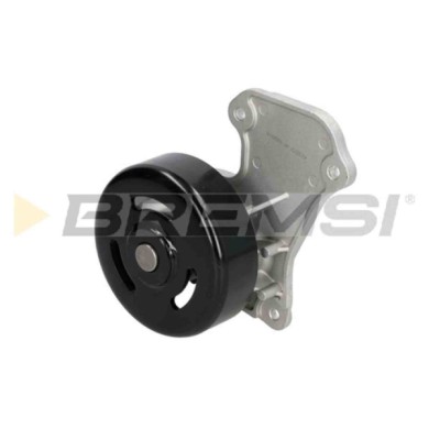 WP0346.JPG Pompa Acqua Dacia Logan Ii Logan Mcv Ii Sandero Ii Wp0346 210102662r Meccanico Bremsi