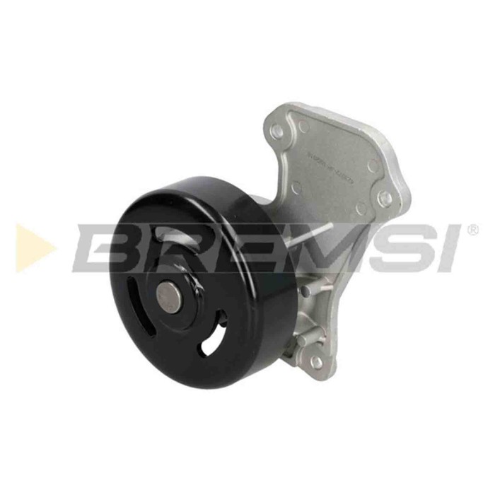 WP0346.JPG Pompa Acqua Dacia Logan Ii Logan Mcv Ii Sandero Ii Wp0346 210102662r Meccanico Bremsi