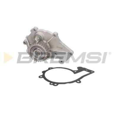 WP0347.JPG Pompa Acqua Dr Dr 5 Wp0347 481h-1307010ba Bremsi