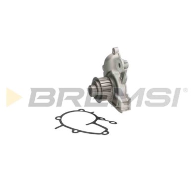 WP0358.JPG Pompa Acqua Nissan Sunny I Traveller Sunny I Cherry Iii Wp0358 21010-16a25 Bremsi