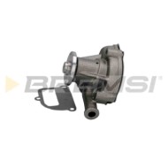 Pompa Acqua Nissan Pick-up Wp0360 21010-09w25 Bremsi
