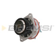 Pompa Acqua Nissan 370z Roadster (z34) Wp0368 21010-7y00a Bremsi