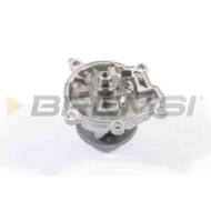 Pompa Acqua Nissan Cabstar Wp0373 21010-85g25 Bremsi