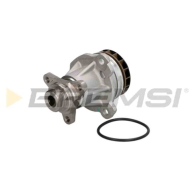 WP0380.JPG Pompa Acqua Nissan Nv400 Pianale Piatto/telaio (x62 X62b) Wp0380 21010-00q2h Bremsi
