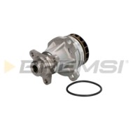 Pompa Acqua Nissan Nv400 Pianale Piatto/telaio (x62 X62b) Wp0380 21010-00q2h Bremsi