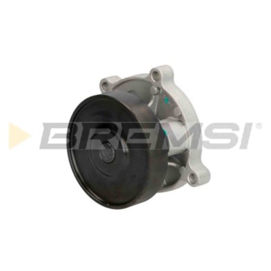 WP0397.JPG Pompa Acqua Mini Mini Countryman (r60) Wp0397 11518512443 Bremsi