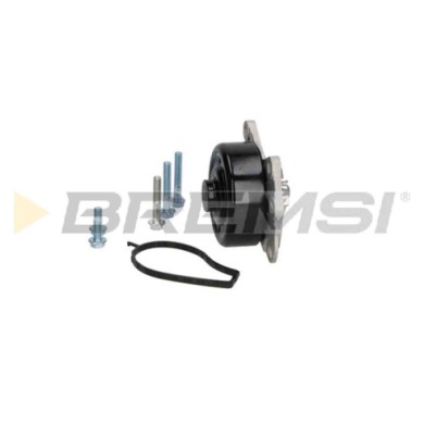 WP0430.JPG Pompa Acqua Toyota Yaris (p13) Wp0430 1610009240 Bremsi