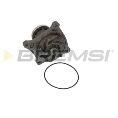 WP0495.JPG Pompa Acqua Daf 55 44 Station Wagon Wp0495 Md015045 Bremsi