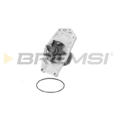 WP0510.JPG Pompa Acqua Jaguar E-type Convertible Daf 44 Wp0510 Me993928 Bremsi