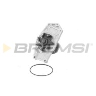 WP0510.JPG Pompa Acqua Jaguar E-type Convertible Daf 44 Wp0510 Me993928 Bremsi