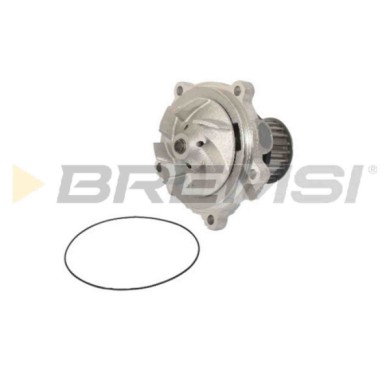 WP0560.JPG Pompa Acqua Chrysler Voyager Iv Wp0560 05066809aa Bremsi