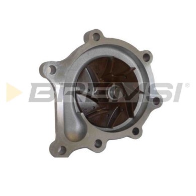 WP0606.JPG Pompa Acqua Kia Carnival/grand Carnival Iii Wp0606 25100-4x900 Bremsi
