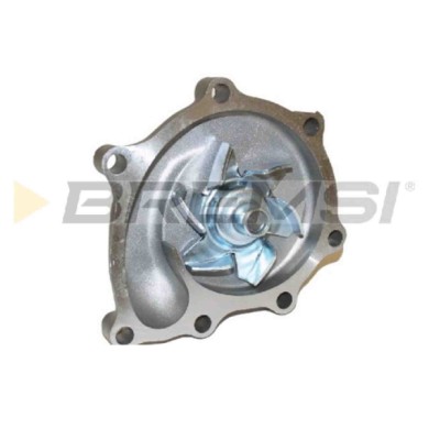 WP0607.JPG Pompa Acqua Kia Pregio Furgonato K2700 Wp0607 0k65a-15-100 Bremsi