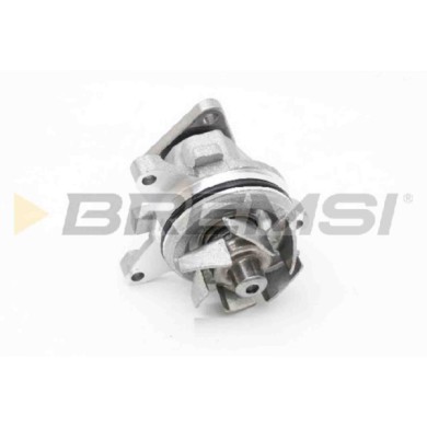 WP0613.JPG Pompa Acqua Land Rover Range Rover Evoque Wp0613 Lr025302 Bremsi
