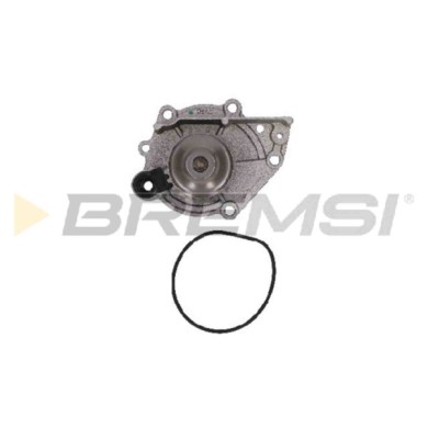 WP0615.JPG Pompa Acqua Rover 100 Cabriolet (xp) Wp0615 Gwp2168 Bremsi
