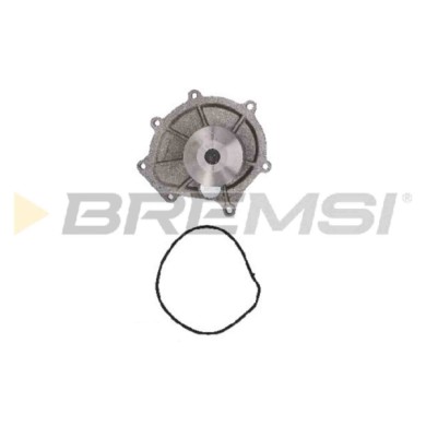 WP0616.JPG Pompa Acqua Land Rover Freelander Wp0616 Peb102240l Bremsi