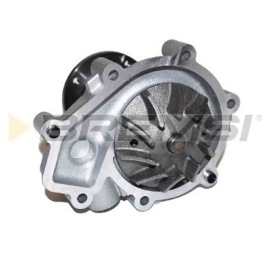 WP0620.JPG Pompa Acqua Ssangyong Rexton/rexton Ii Actyon I Kyron Rodius Wp0620 66520-00120 Bremsi