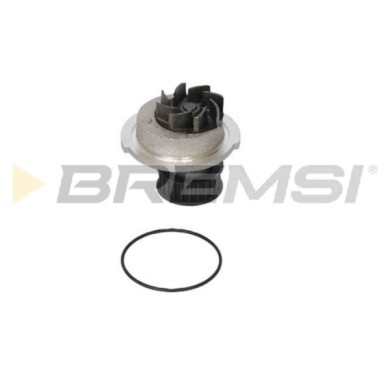 WP0625.JPG Pompa Acqua Daewoo Rezzo Wp0625 96230587 Bremsi